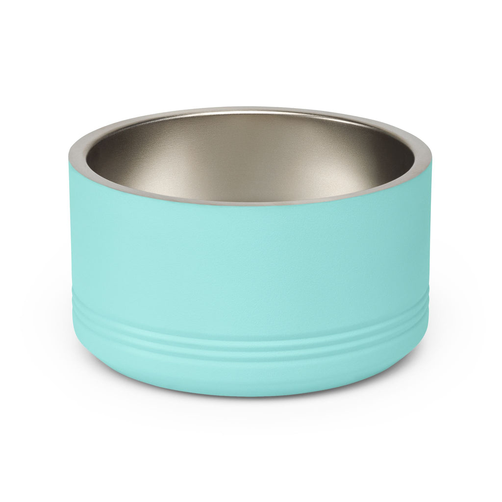 Stainless steel dog and cat bowl with powder coated exterior