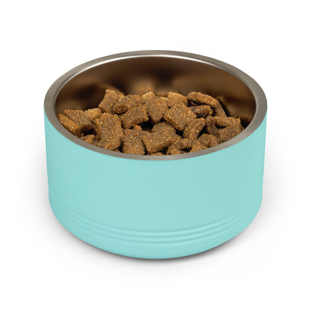 Teal Kibble I Prefer Chicken Soup pet bowl product view